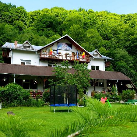Pensiunea Valea Negrasului Traisteni ภายนอก รูปภาพ