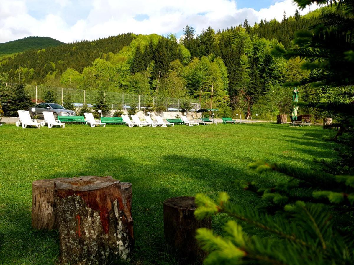 Pensiunea Valea Negrasului Traisteni ภายนอก รูปภาพ