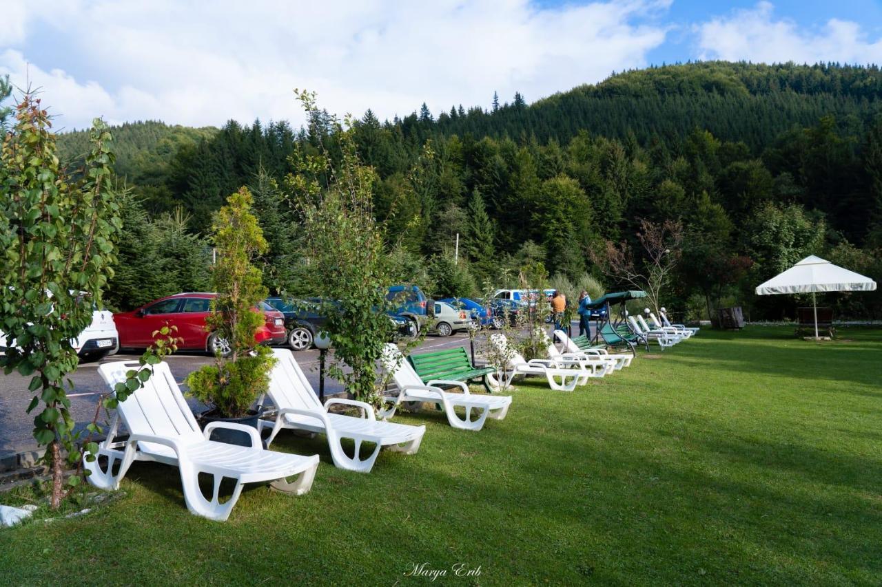 Pensiunea Valea Negrasului Traisteni ภายนอก รูปภาพ
